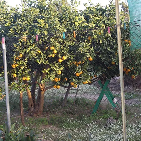 Casa Celidonia , De *