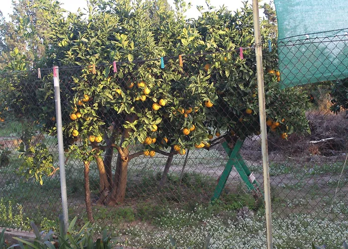 Casa Celidonia , De *